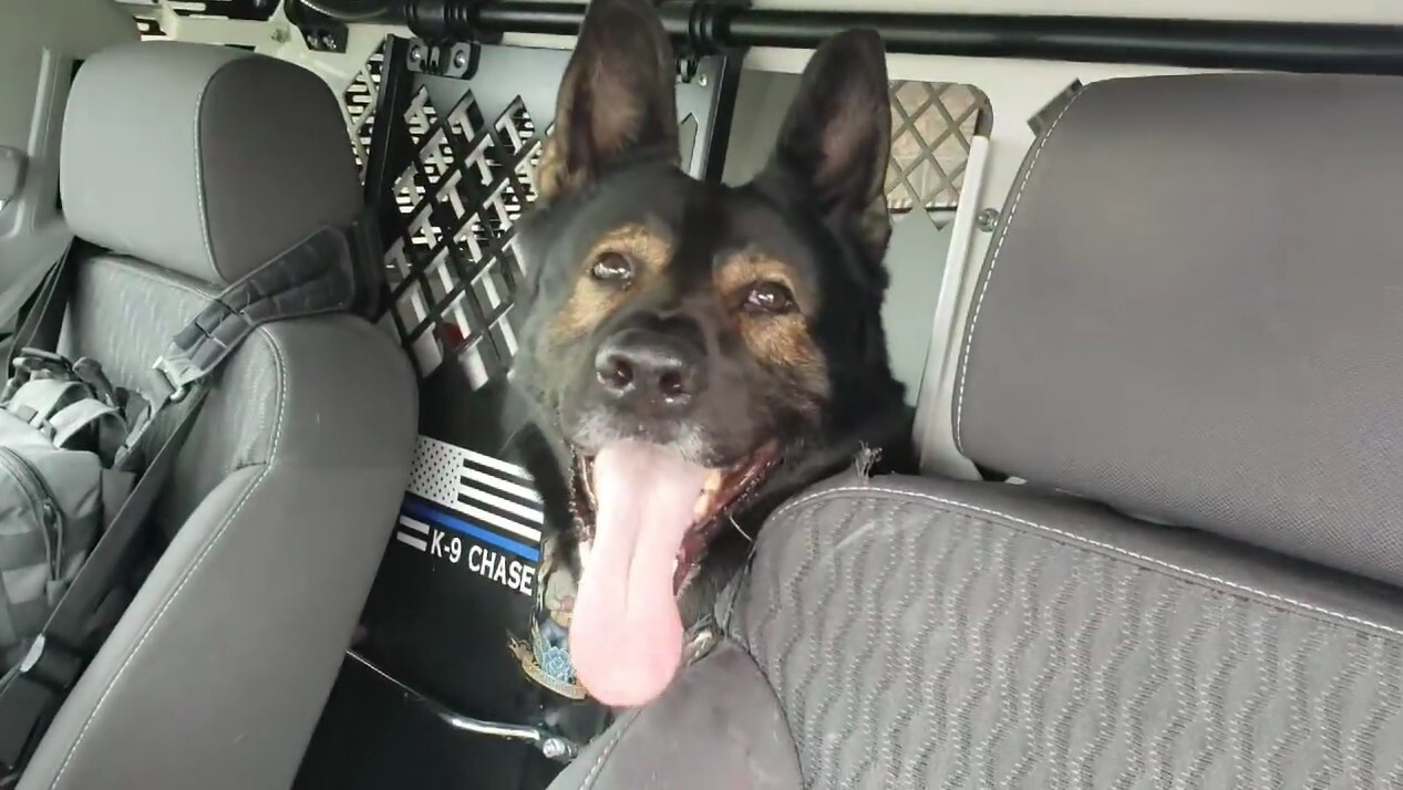 K9 Chase Internal Investigation Pleasant Prairie Police Department