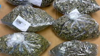 Fauquier County marijuana bust