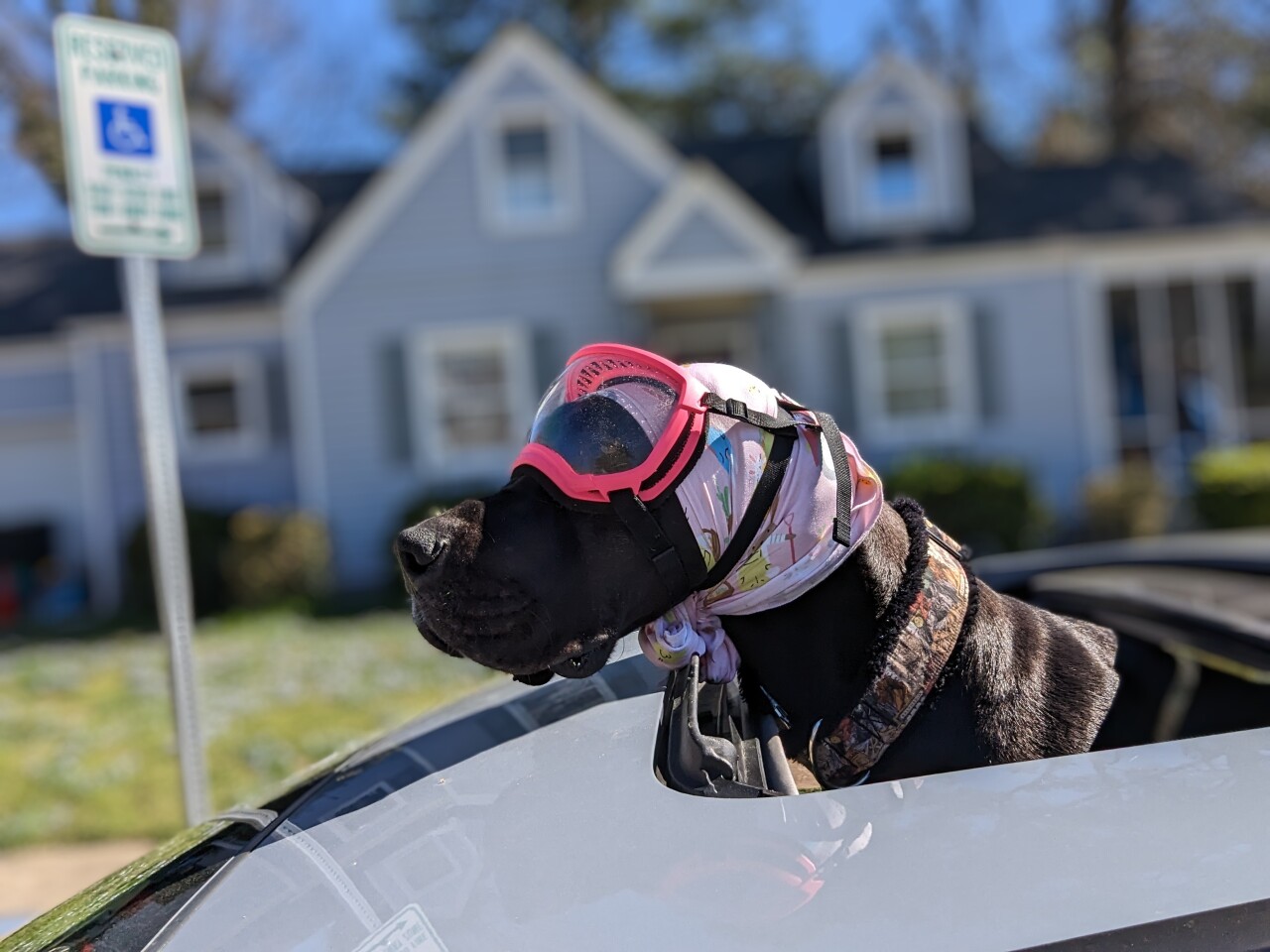 Brittany Sorrentini & Belphegora