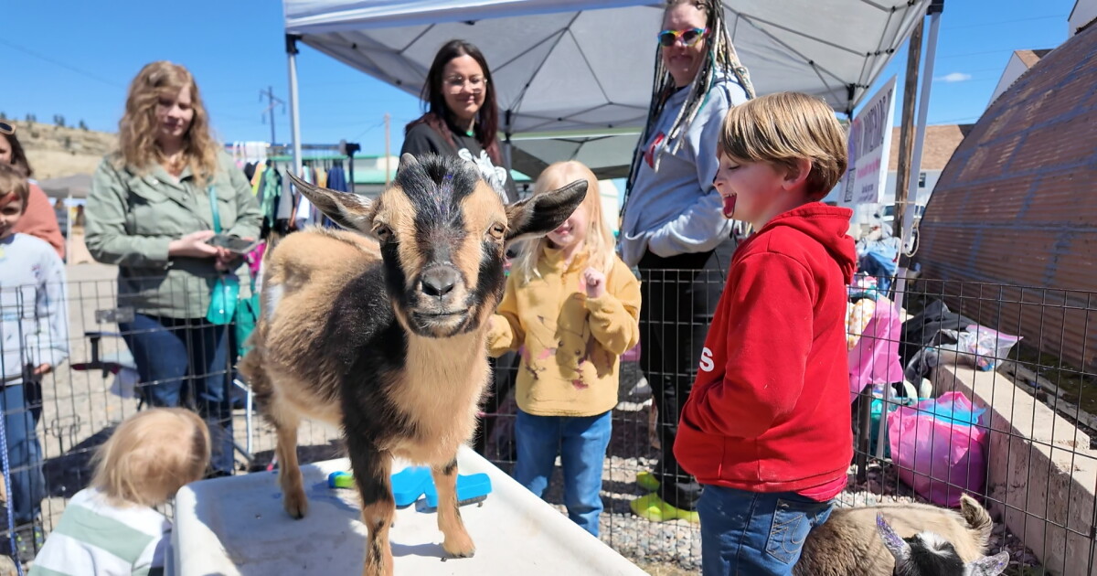 Dozens of organizations celebrate Earth Day with Billings community - Vimarsana News