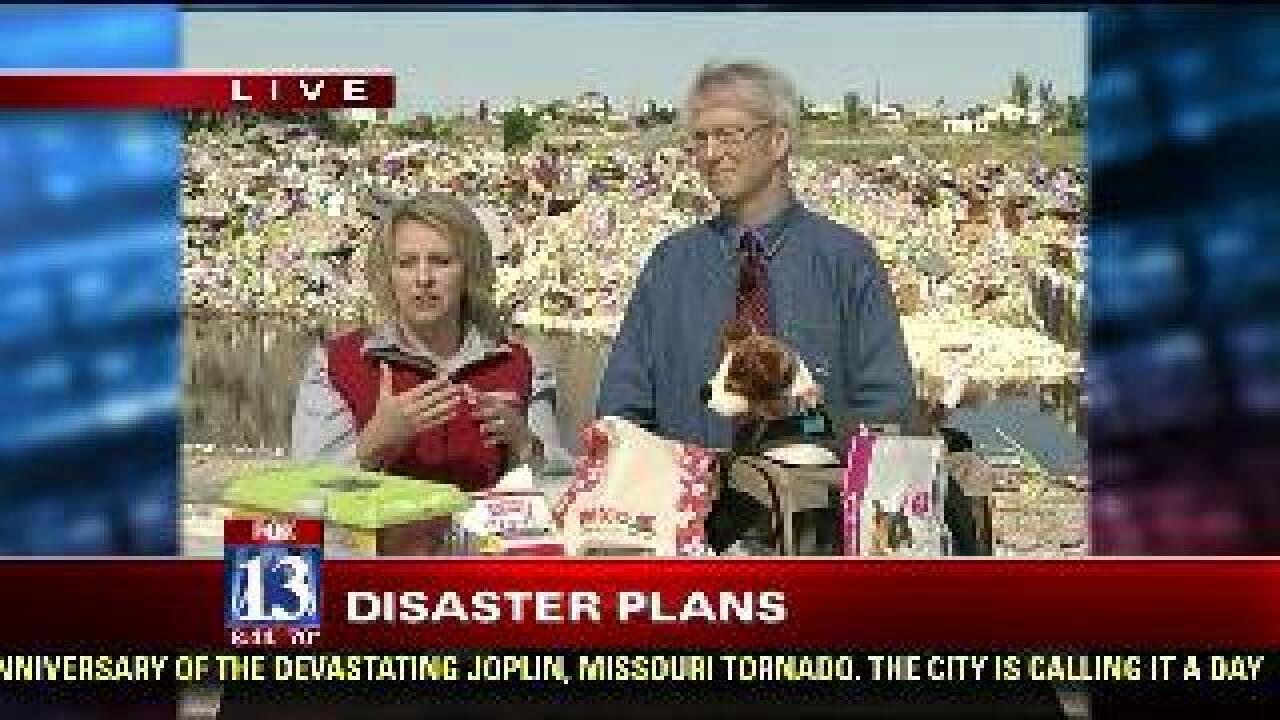 Tips to developing disaster plan that includes pets