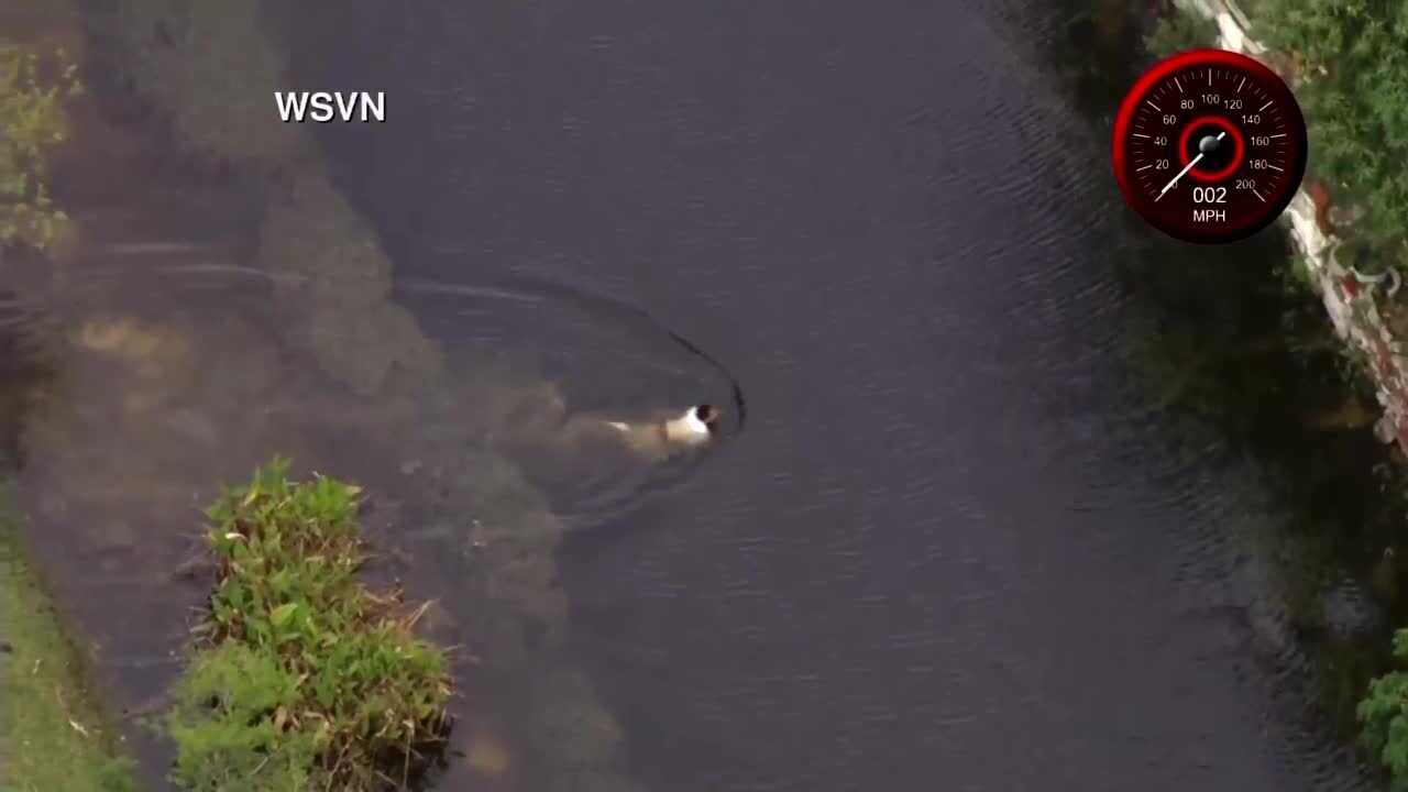 carjacking suspect swims across canal to avoid being captured, April 19, 2023