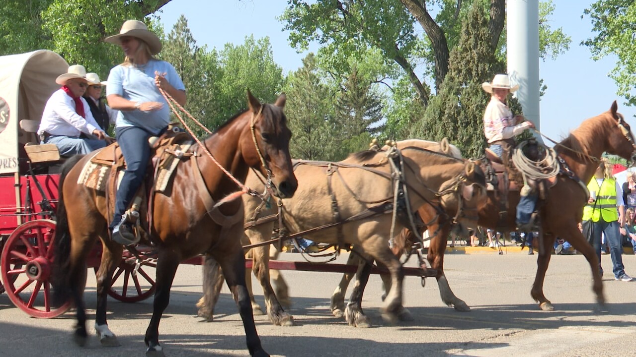 Horses in the parade