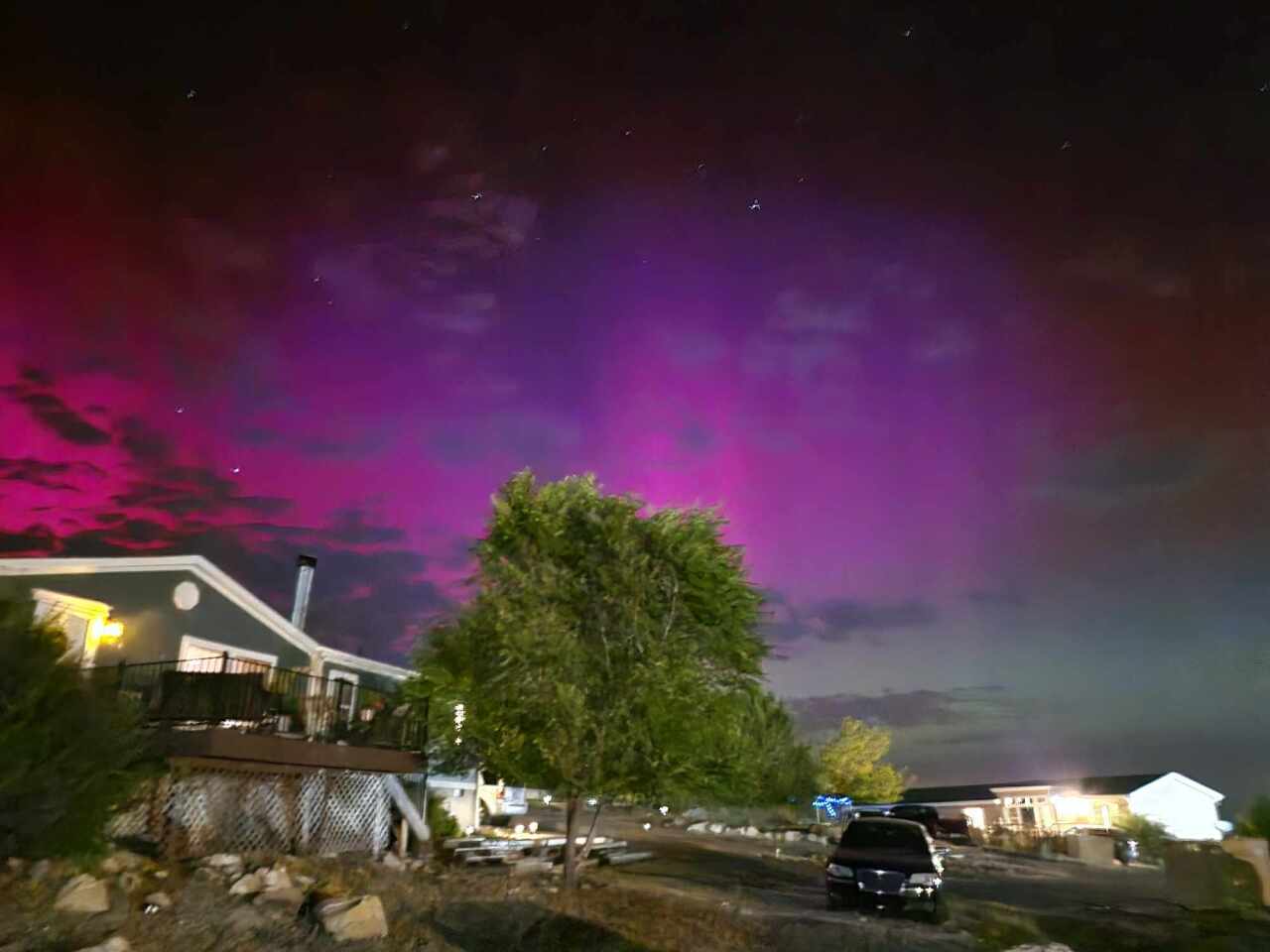 Fuchsia Flare