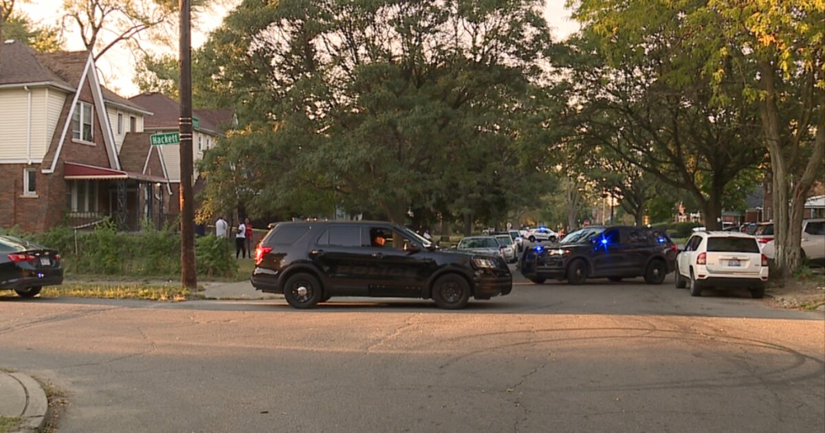 DPD officer shooting at dog ends up hitting fellow officer