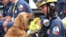 Last known living 9/11 search dog dies in Texas
