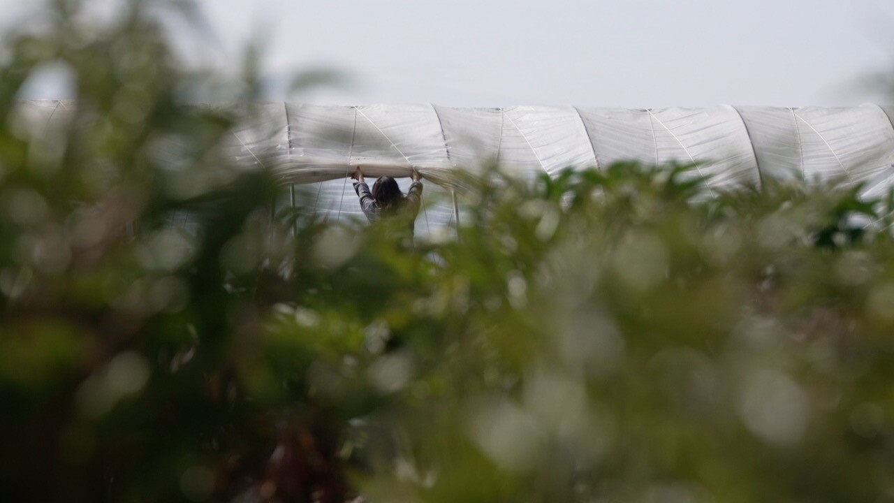 Farmers Markets Farmers.jpg