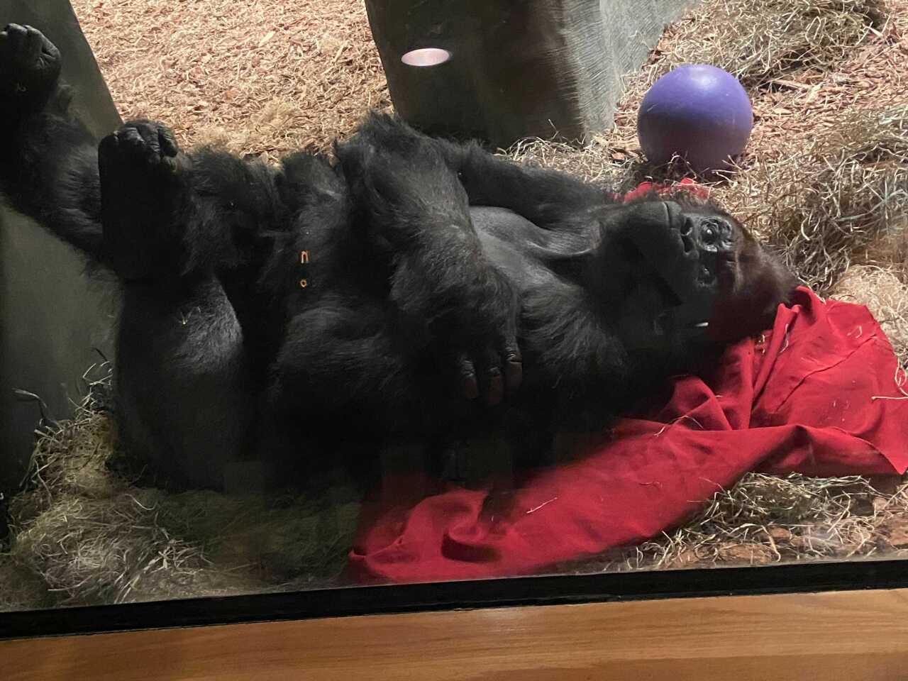 Image from iOS (5).jpg