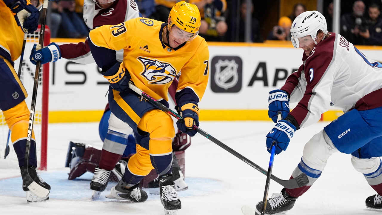 Avalanche Predators Hockey