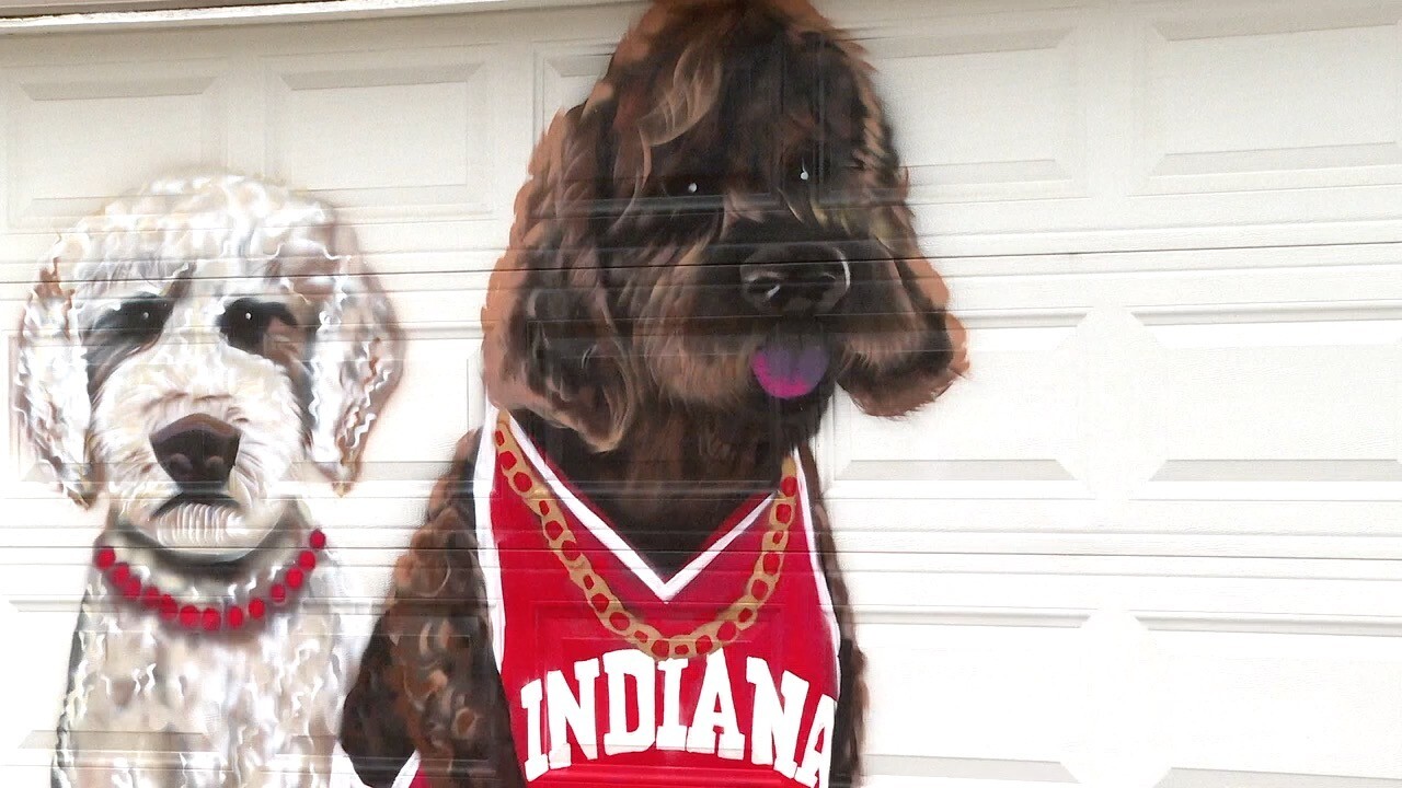 fa79fc24-9b0c-4115-80e5-cbc091c696b1 (1).jpg