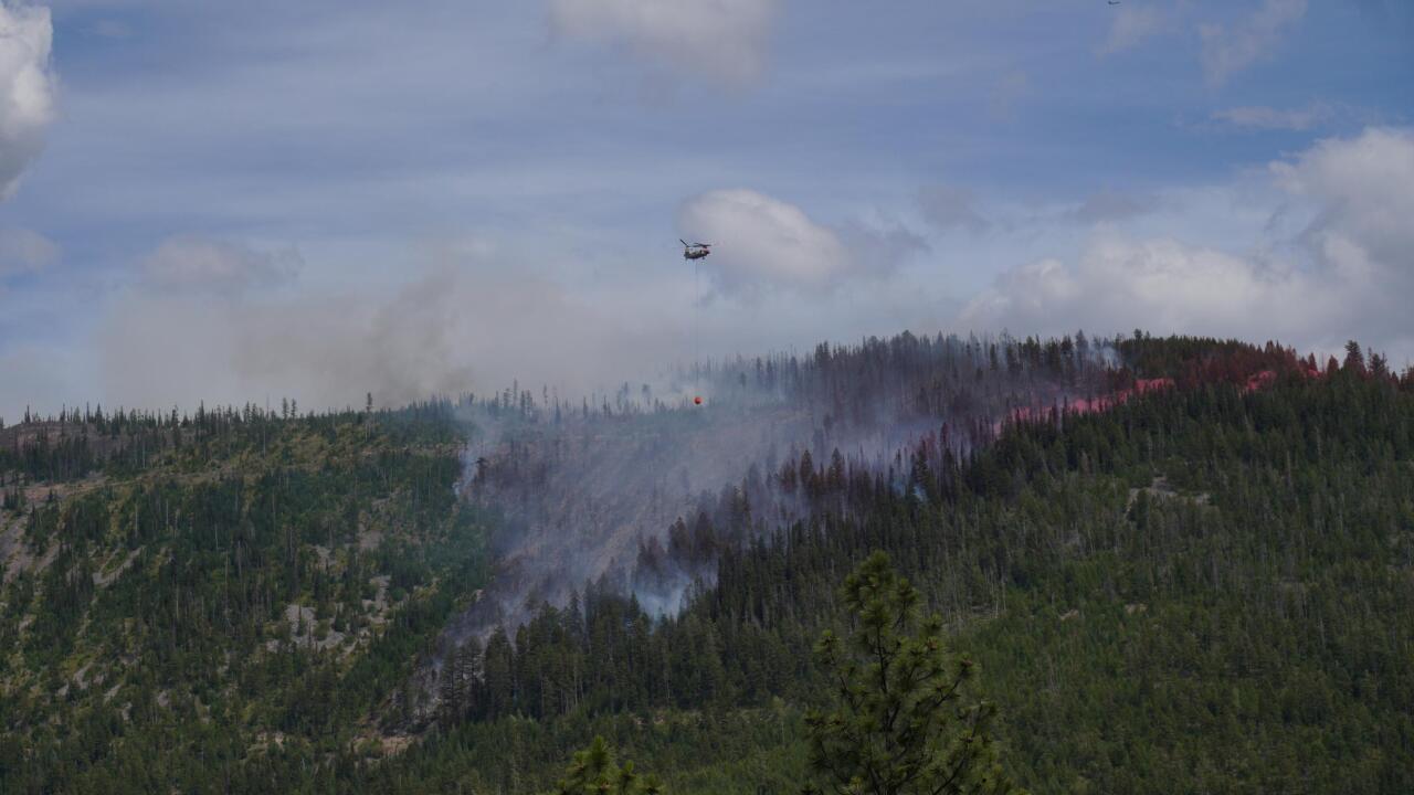 Deer Fire