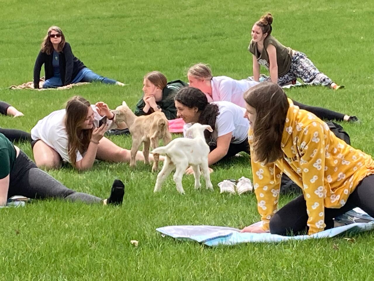 Image from iOS - 2022-05-06T161951.976.jpg