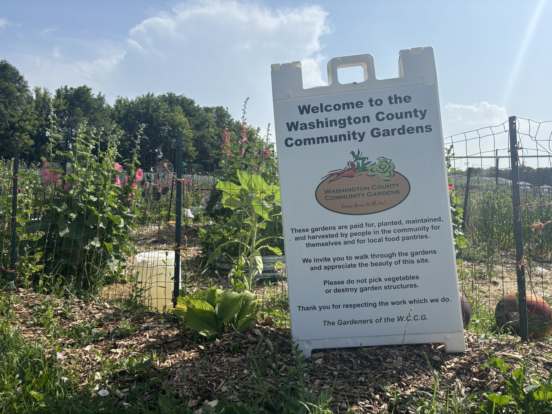 Washington County community garden grows food for those in need — and wants more people to know about it