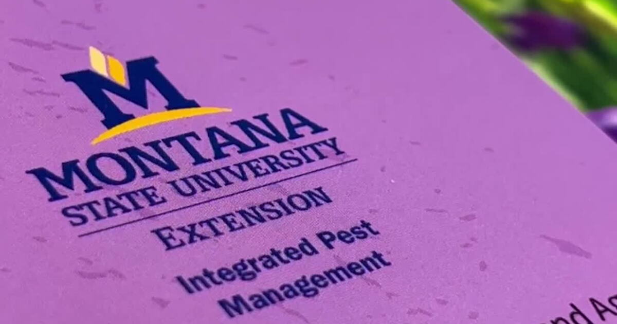 Montana State University Extension hosts master gardener classes - Vimarsana News