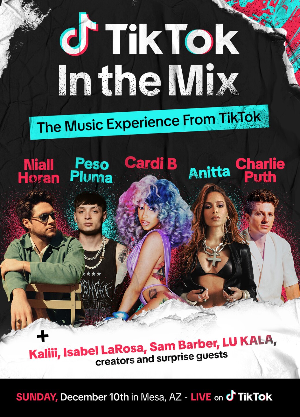 TikTok In the Mix .jpg