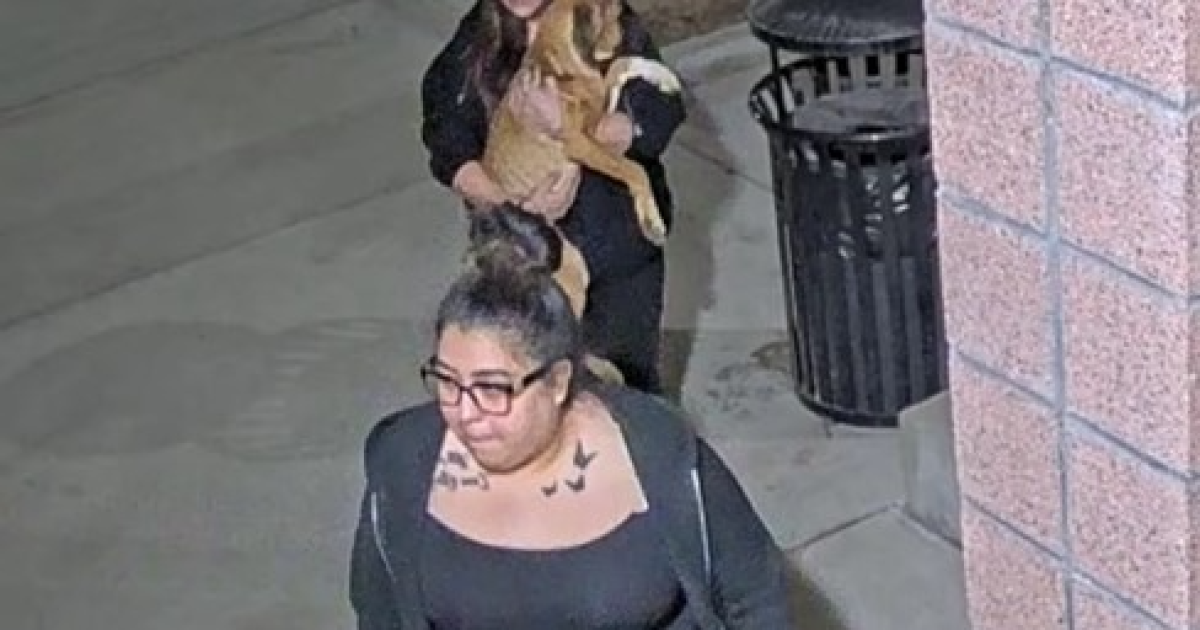 Denver Animal Protection trying to identify woman who dropped off ...