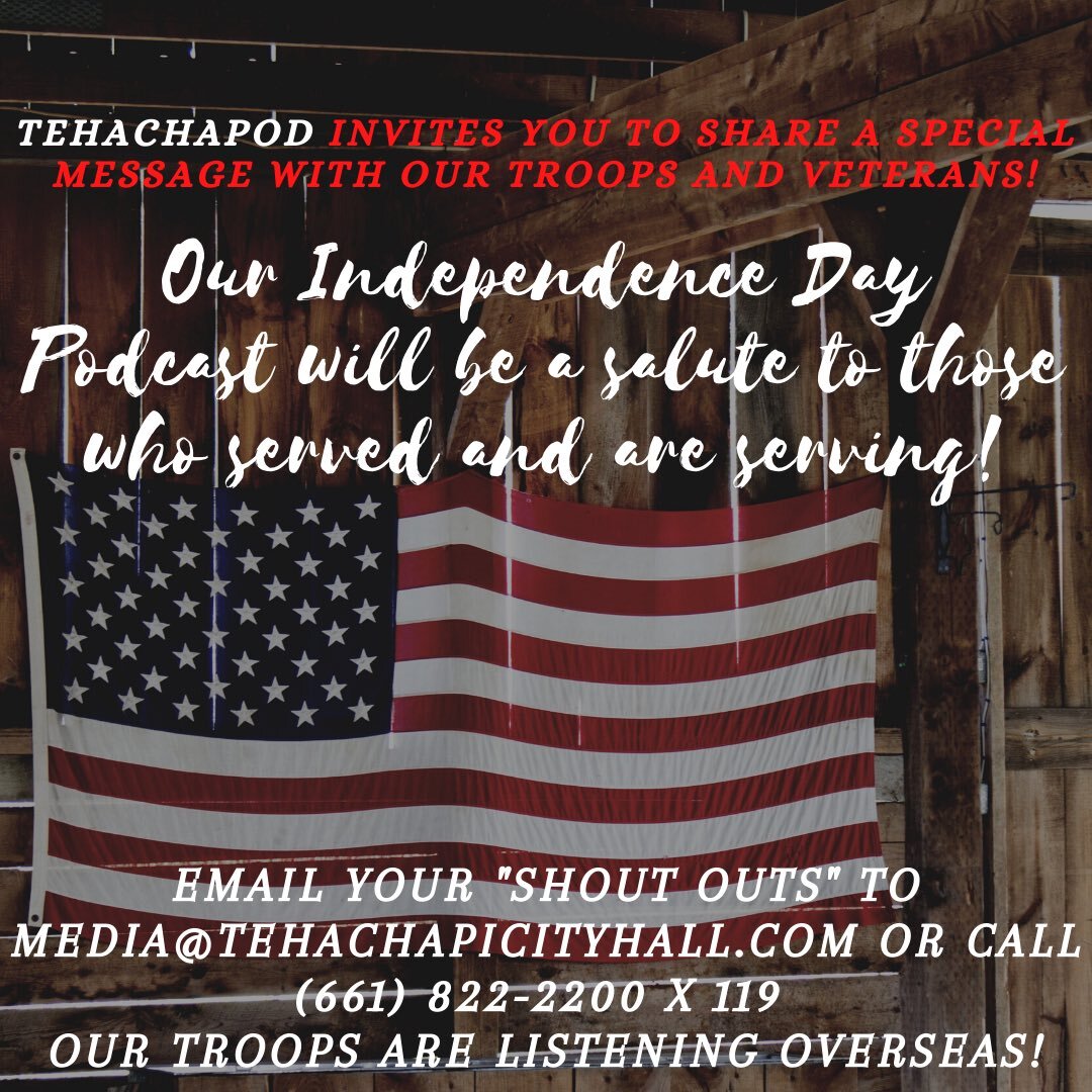 TehachaPod 4th of July