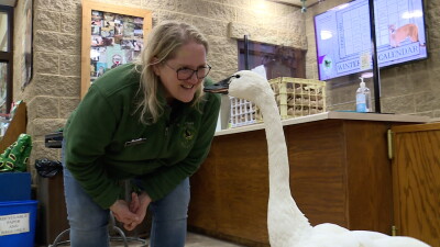 Bay Beach Wildlife Sanctuary