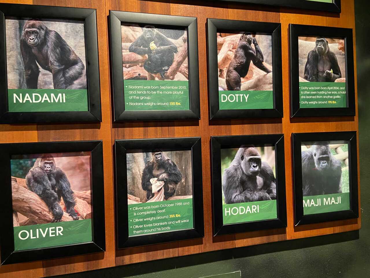 Image from iOS (7).jpg