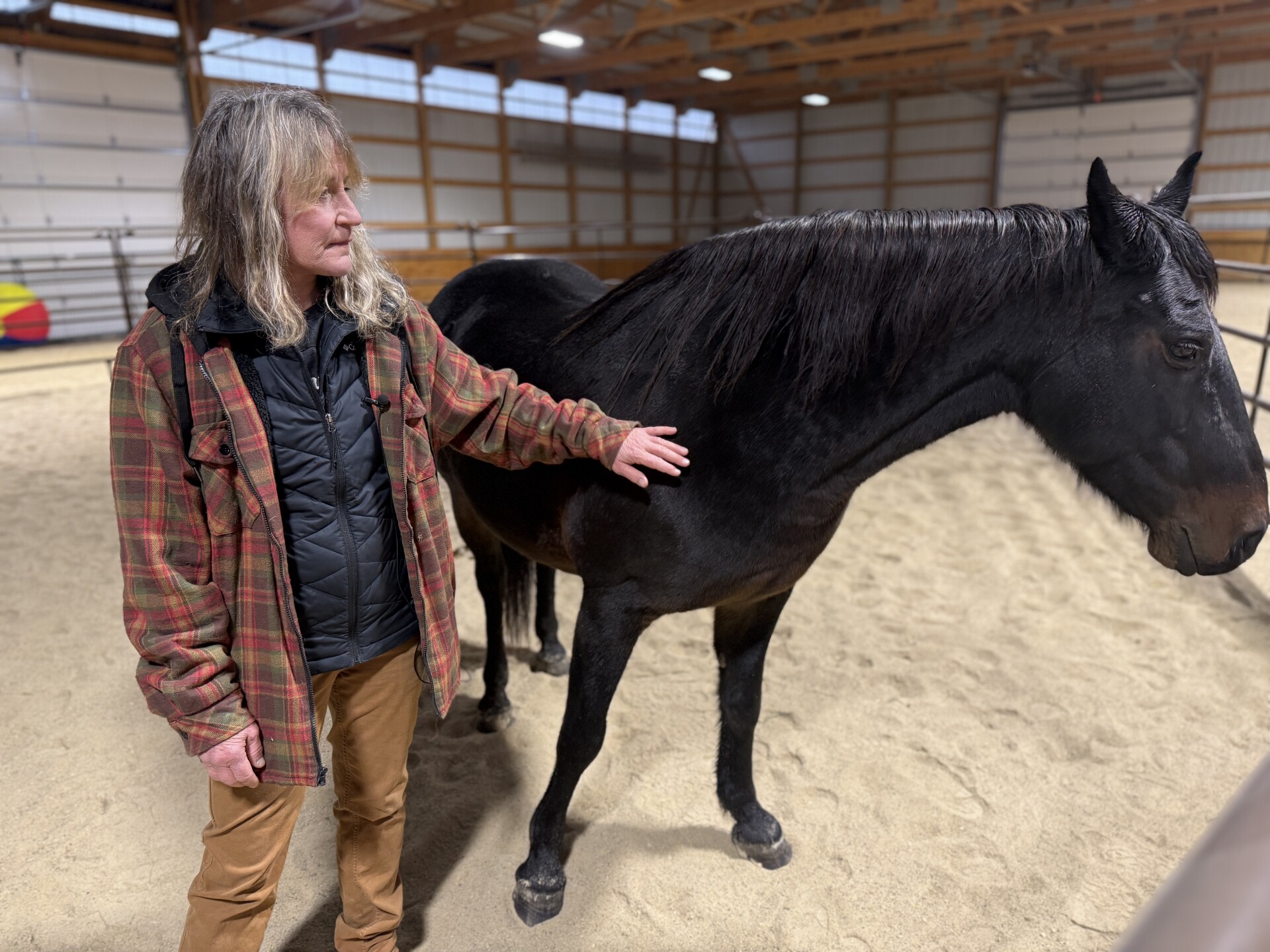 46 animals rescued from Town of Scott property