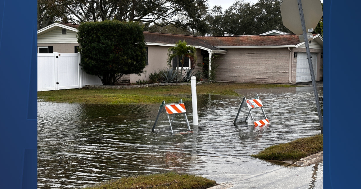 Storm surge causes flooding in St. Pete neighborhoods after weekend storm - Vimarsana News