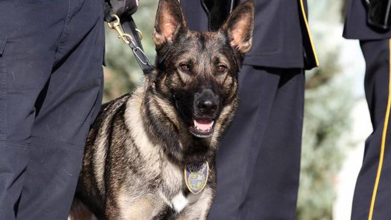 MPD Honor Guard salutes fallen K9 officer