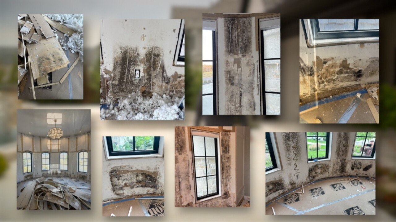 mold inside house