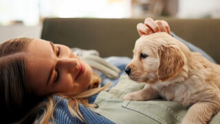 Happy,Woman,,Relax,And,Sofa,With,Dog,For,Animal,Welfare,