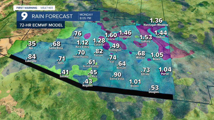 Rain Accumulation Next 72 Hours ECMWF Global 9km (1).png