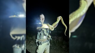 Officer holding snake 