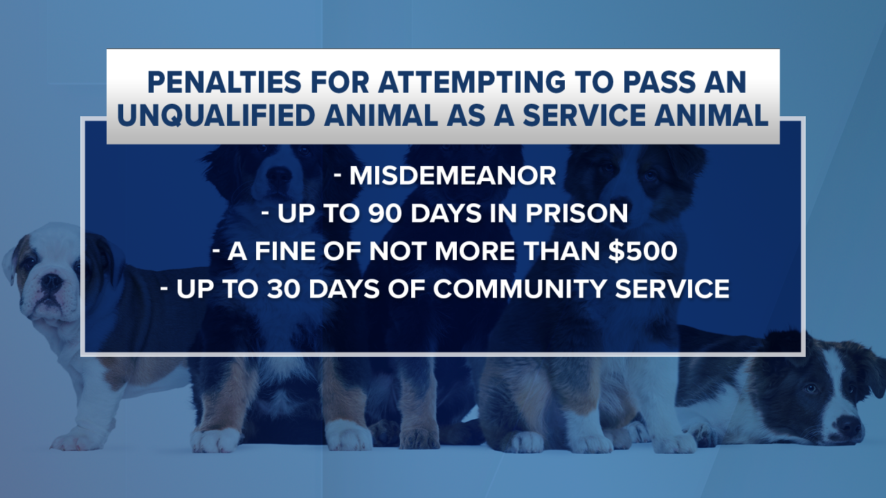 Penalties for attempting to pass an unqualified animal as a service animal