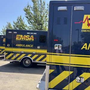 EMSA