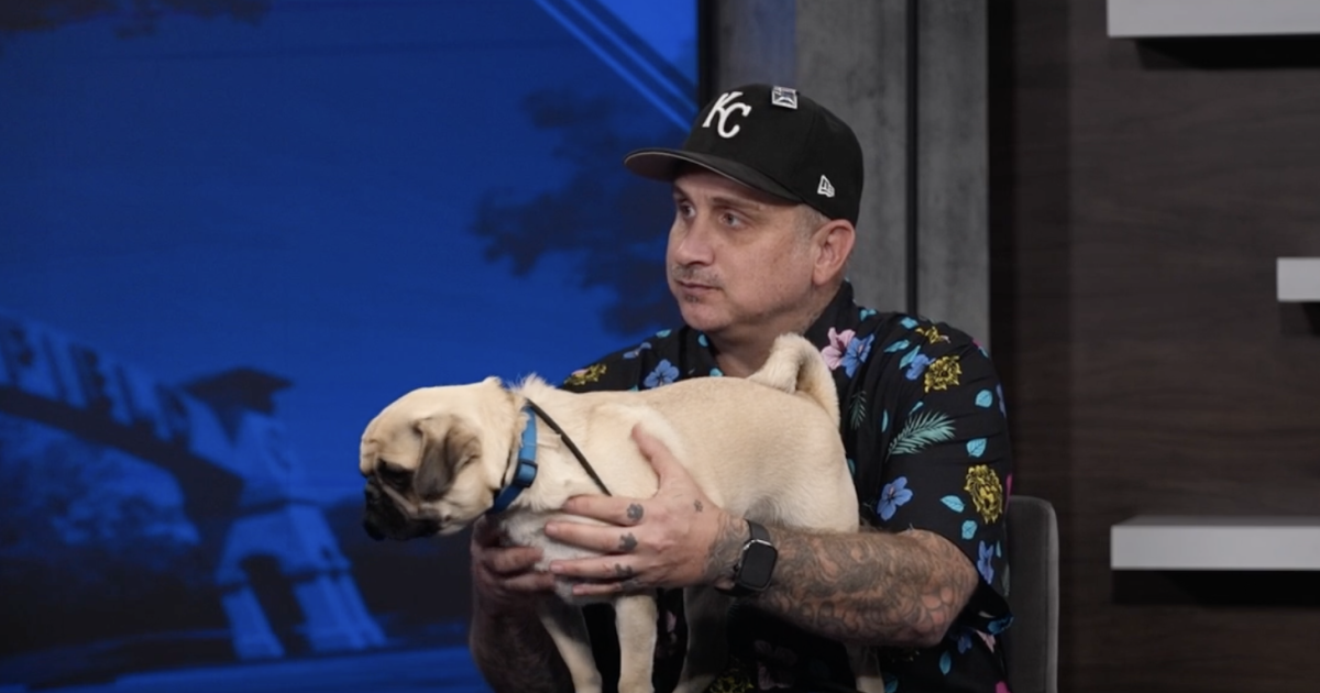 W Pug Rapper Wag Wednesday: Meet Vito the Pug!