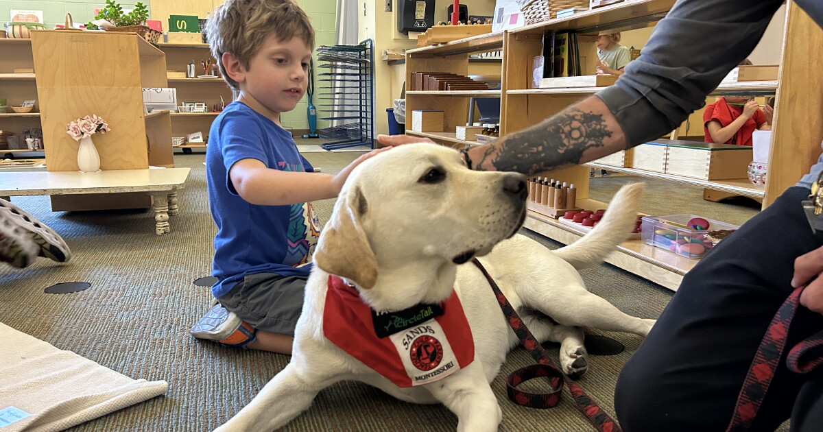 New CPS facility dog helps students at Sands Montessori - Vimarsana News