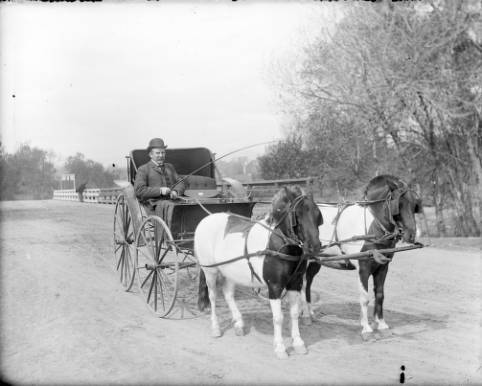 Man_in_a_horsedrawn_carriage_on_the_Alameda_bridge.jpg