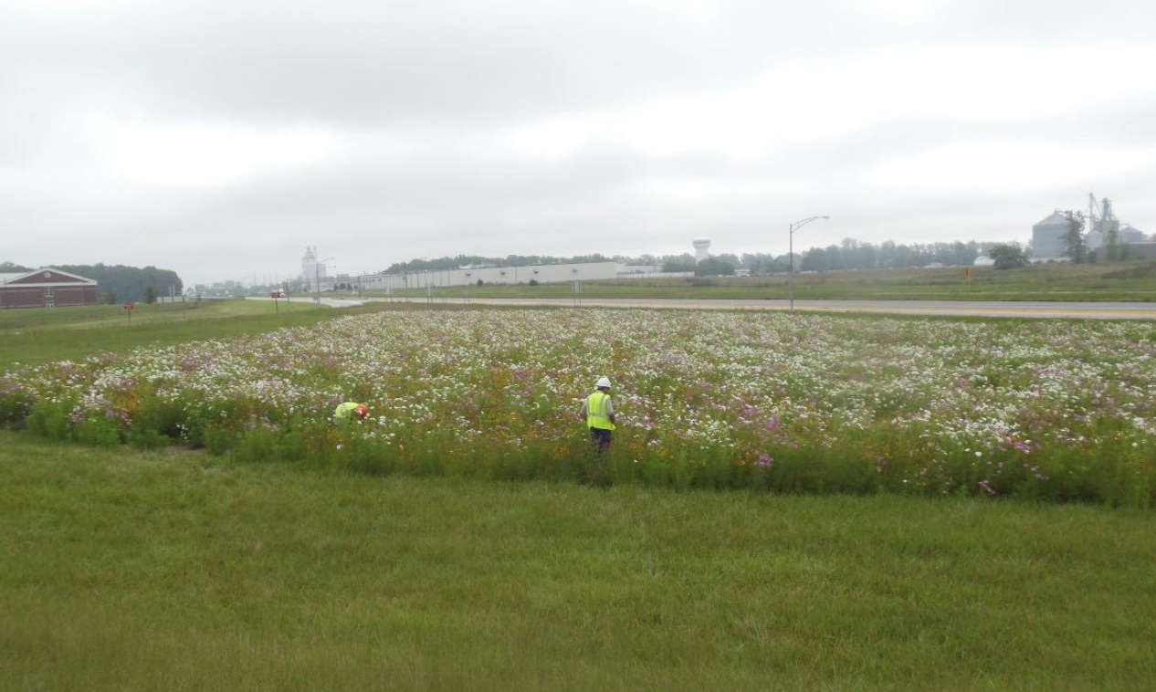 Screen Shot 2019-05-21 at 9.42.17 AM (1).png