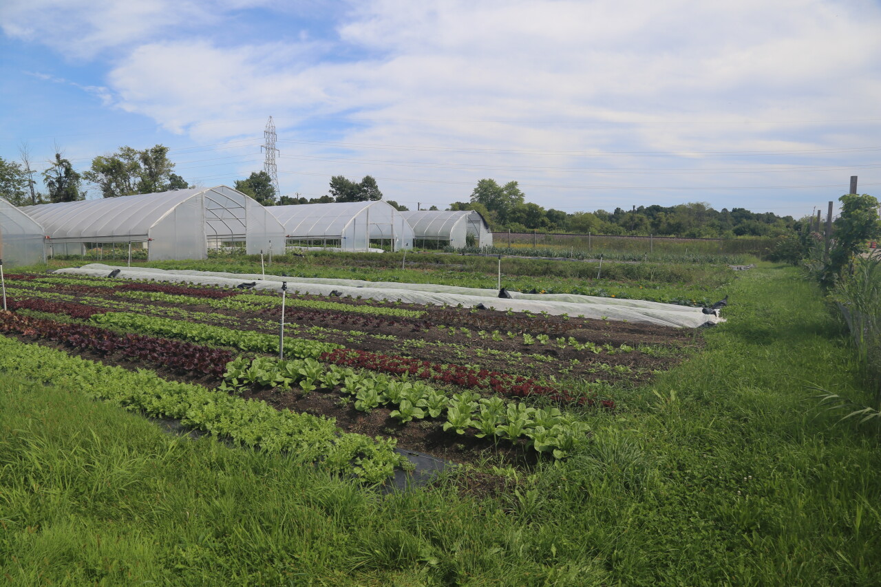 Oak Creek Village Farmstead