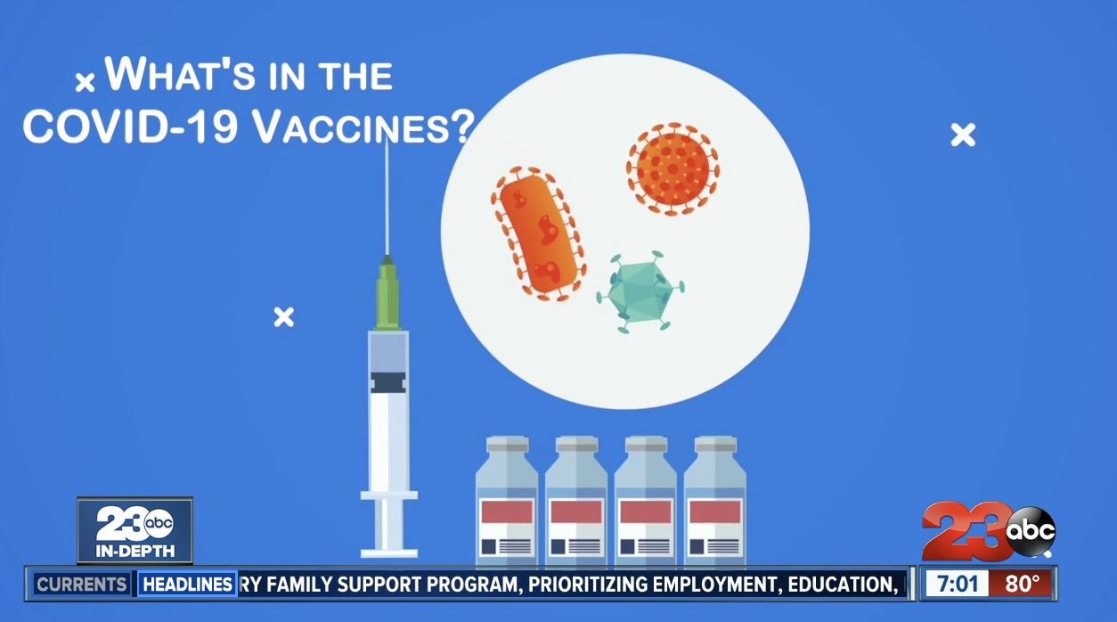 What's in the COVID-19 vaccine