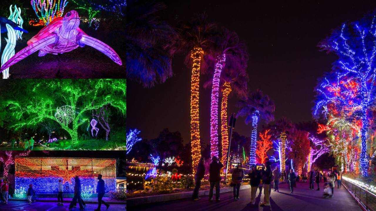 FILE | ZooLights at the Phoenix Zoo 