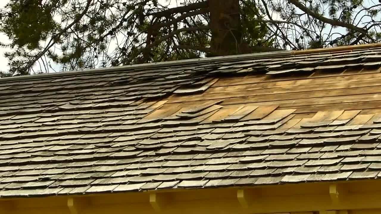 ynp shingles ripped.jpg
