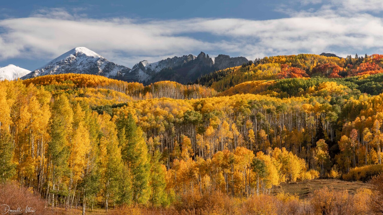 Kebler Pass Donnell Allen 1.jpg