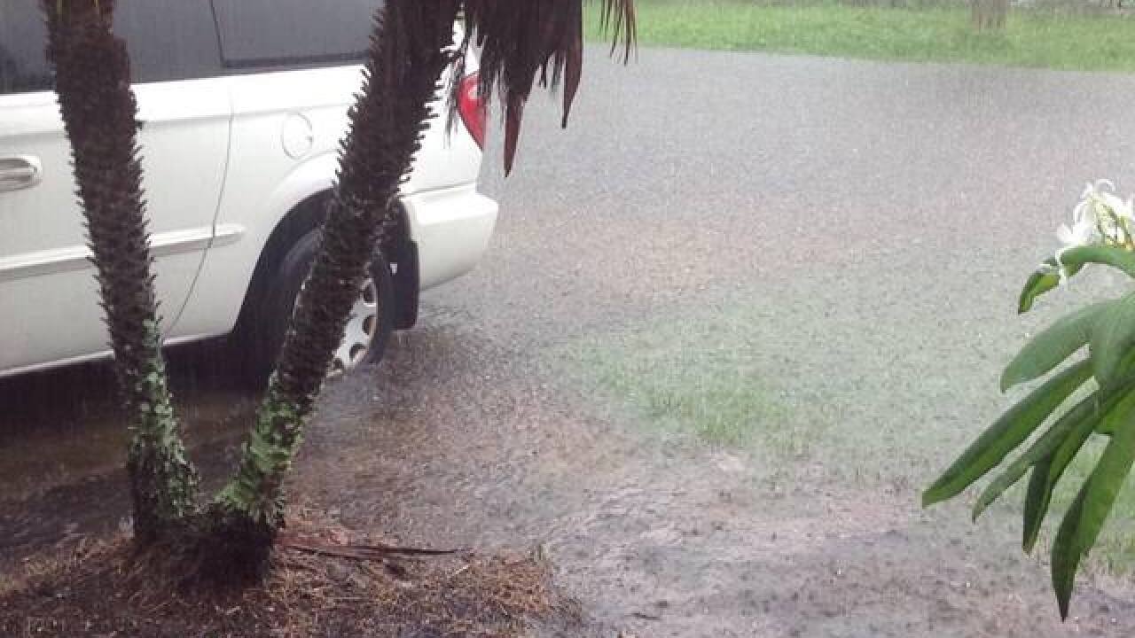 PHOTO GALLERY: Flooding in the Tampa Bay area on