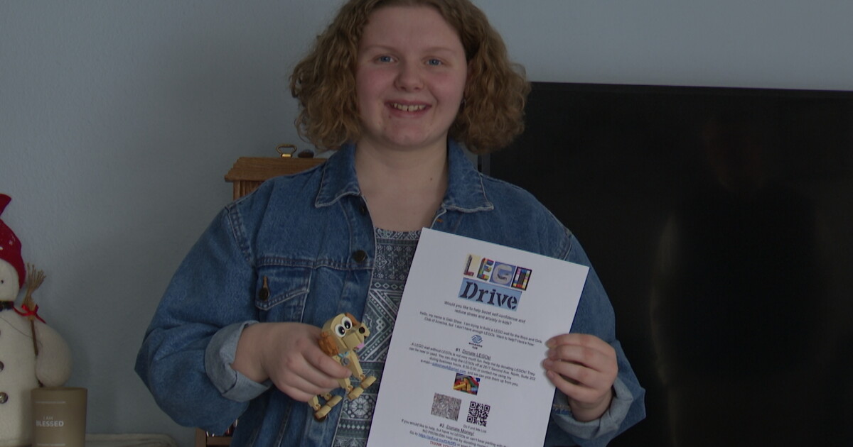 Billings eighth grader holds LEGO drive for school project - Vimarsana News