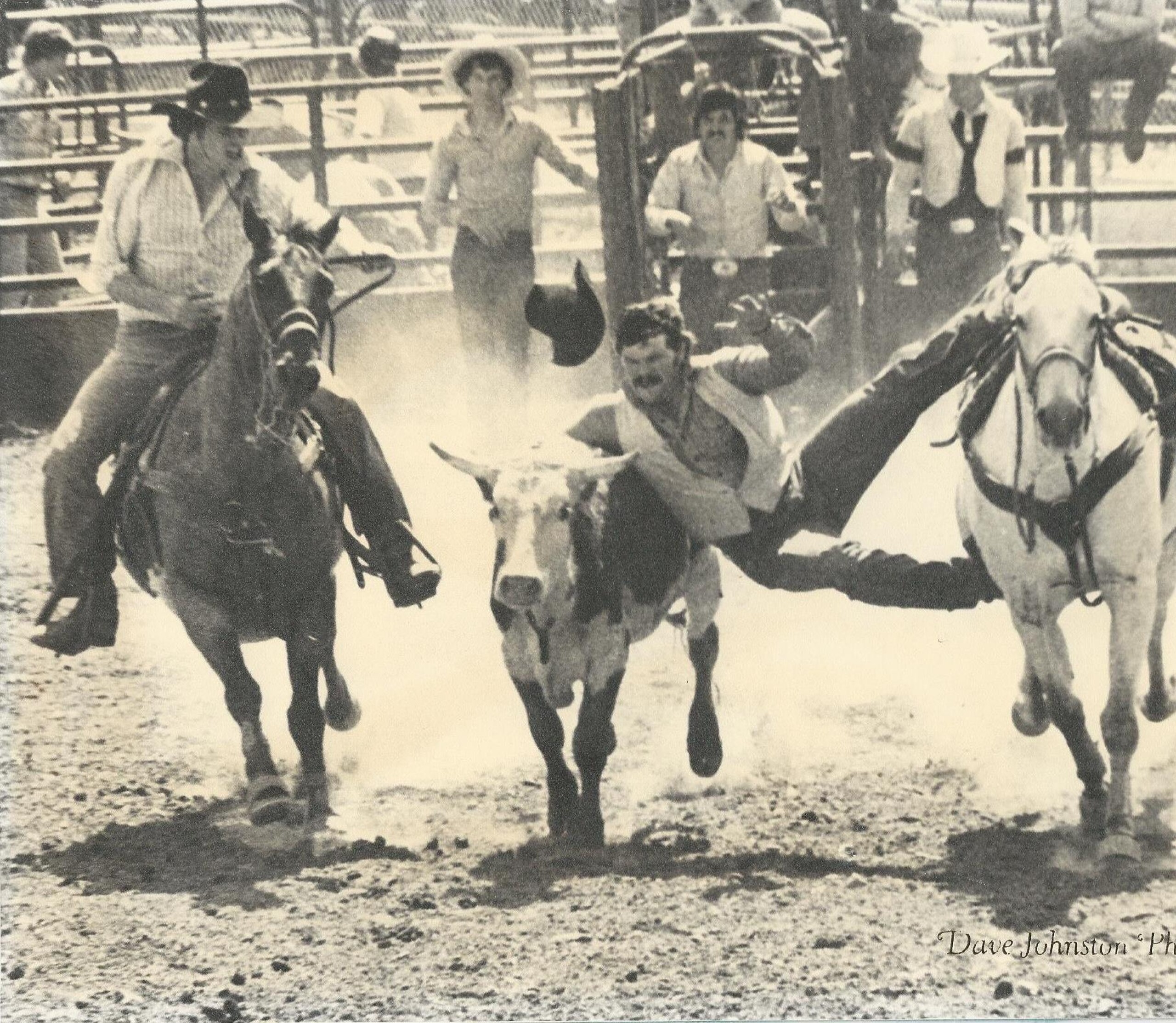 Ty Nichols' journey from rodeo to the football field at UArizona