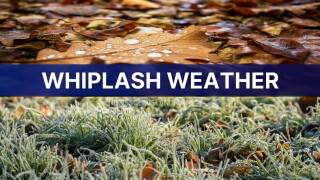 WHIPLASH WEATHER 