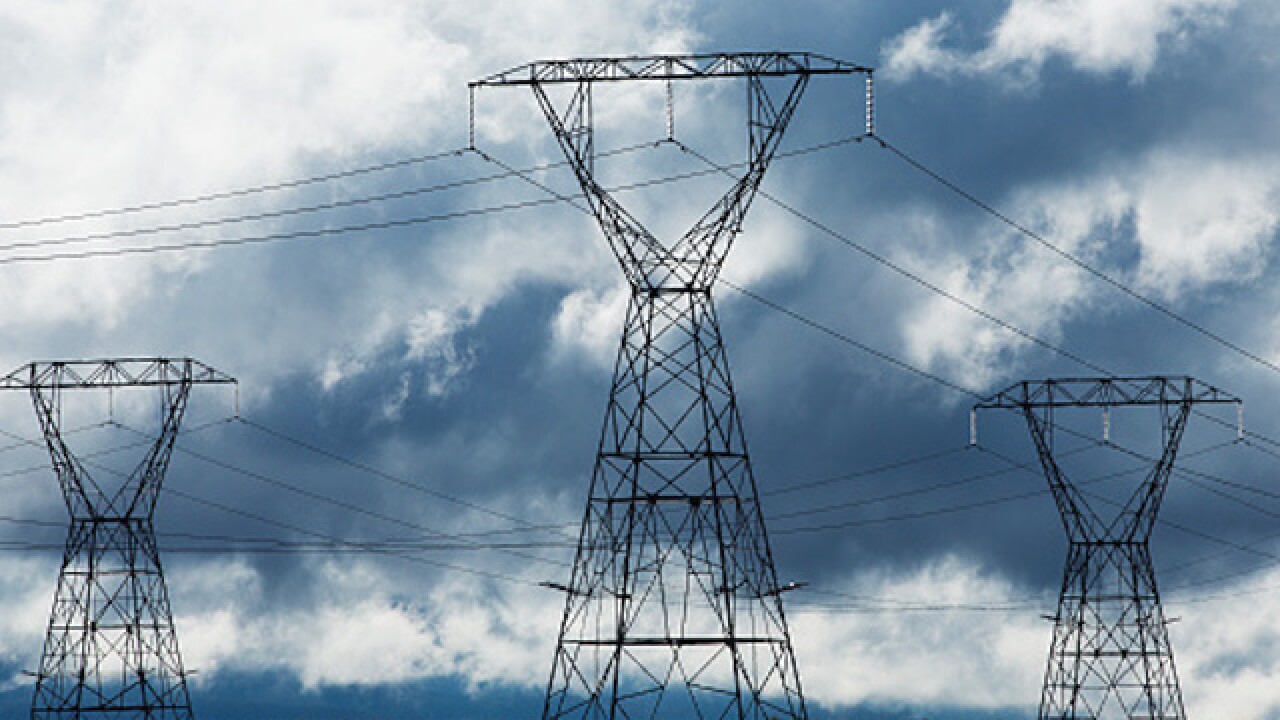 Monkey causes giant Kenyan blackout