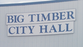 btimber.png