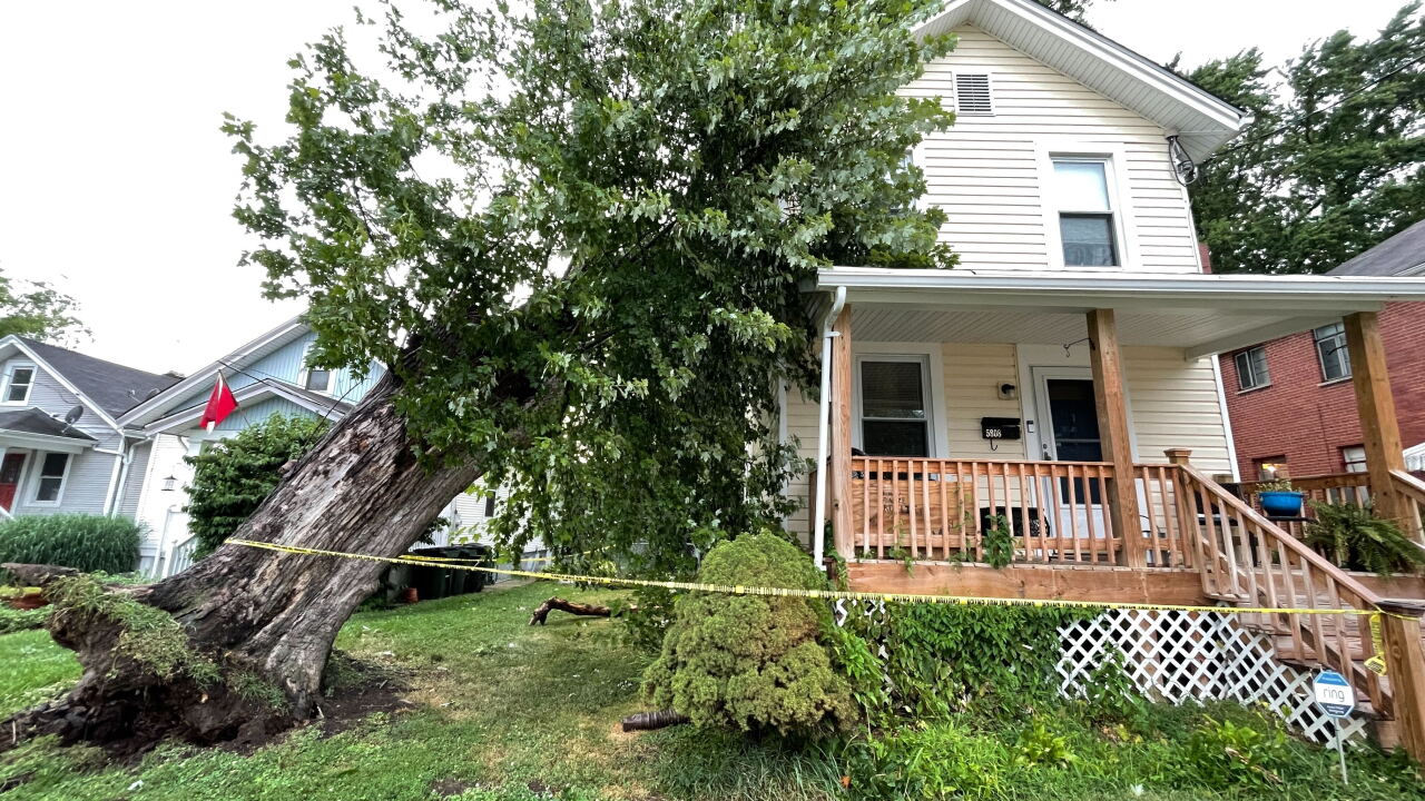 Tree on house fairfax