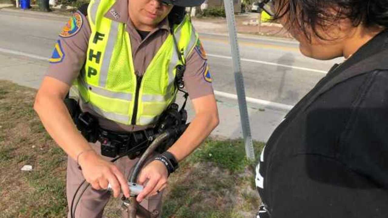 Florida Highway Patrol Traffic >> Florida Highway Patrol Tackle Pedestrian And Bicyclist Safety Florida Highway Patrol Traffic >> Florida Highway Patrol Tackle Pedestrian And Bicyclist Safety