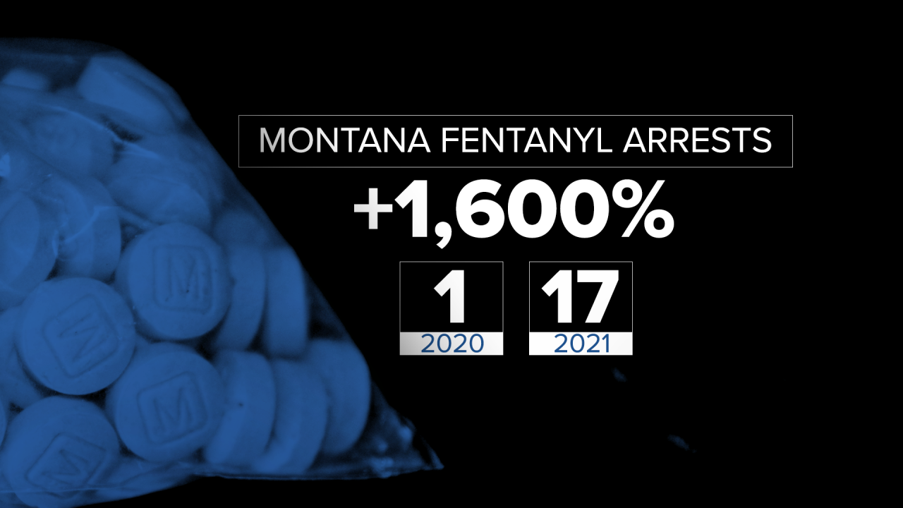 fentanyl arrests.png